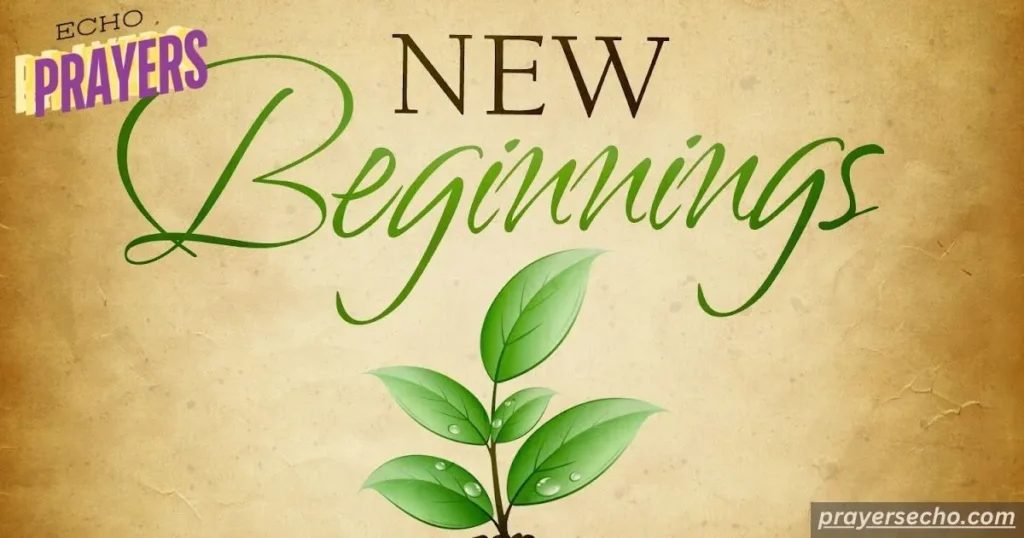 New Beginning