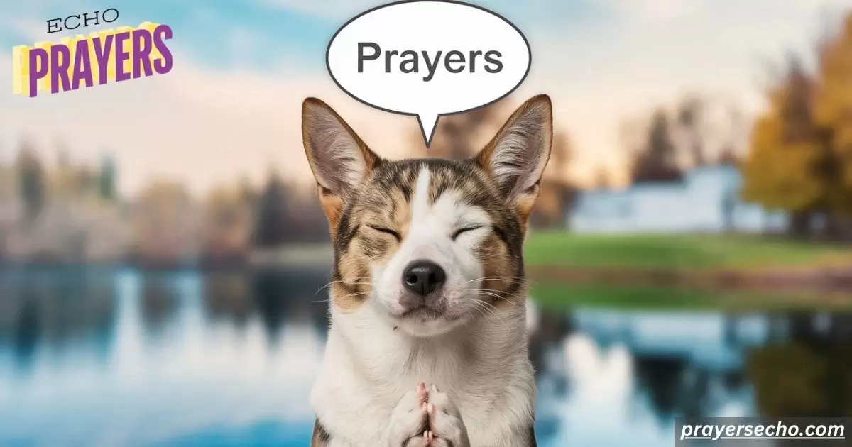 Pet Prayers