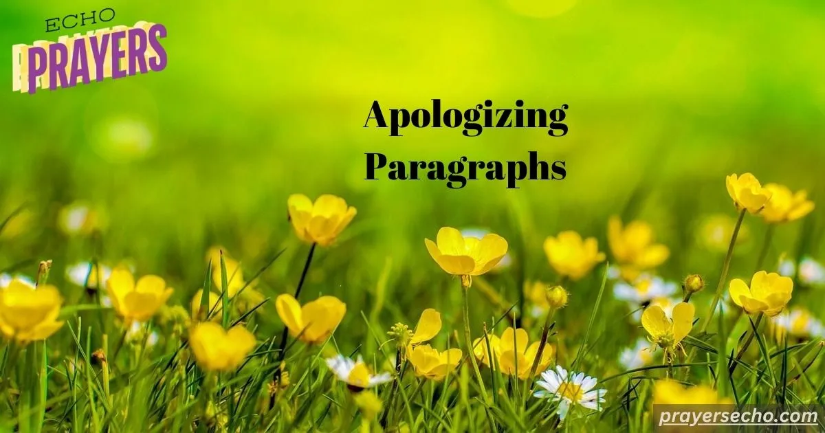 Apologizing Paragraphs