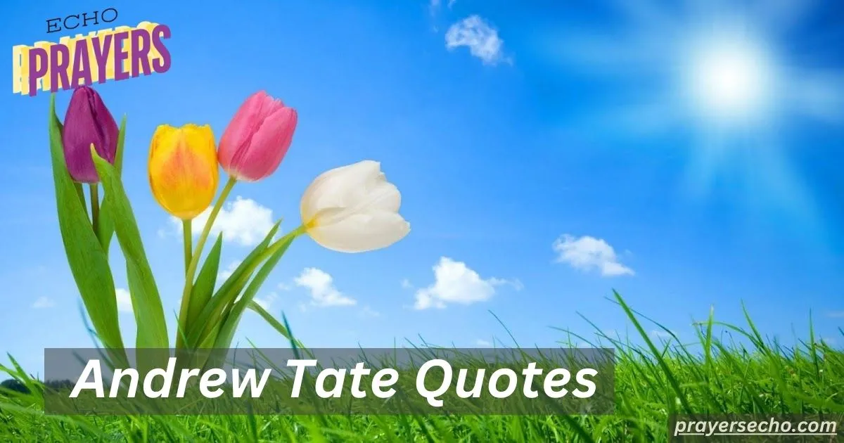 Andrew Tate Quotes