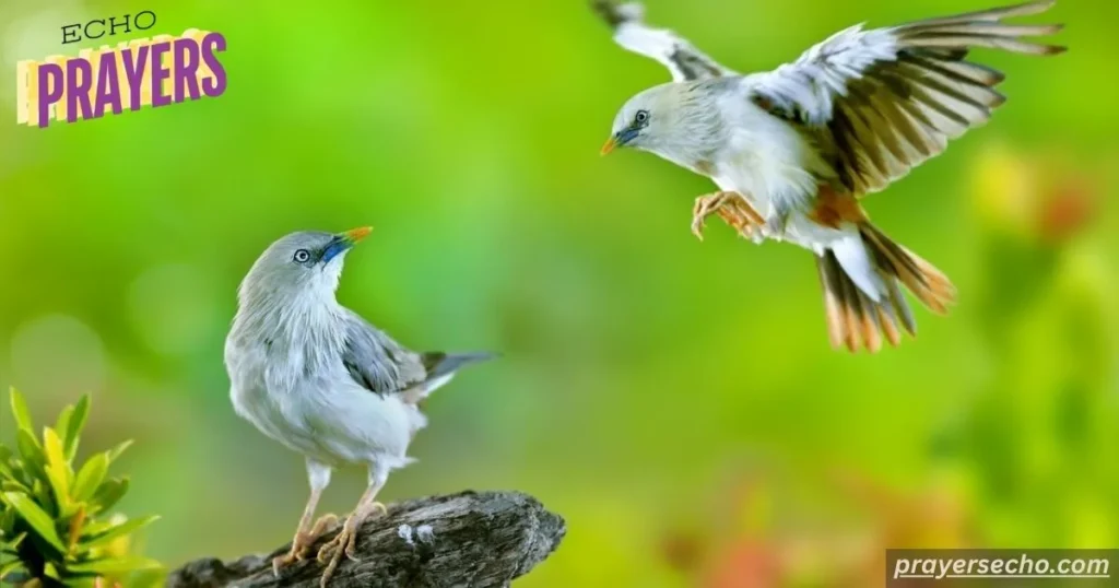 Cheerful Birds Flying