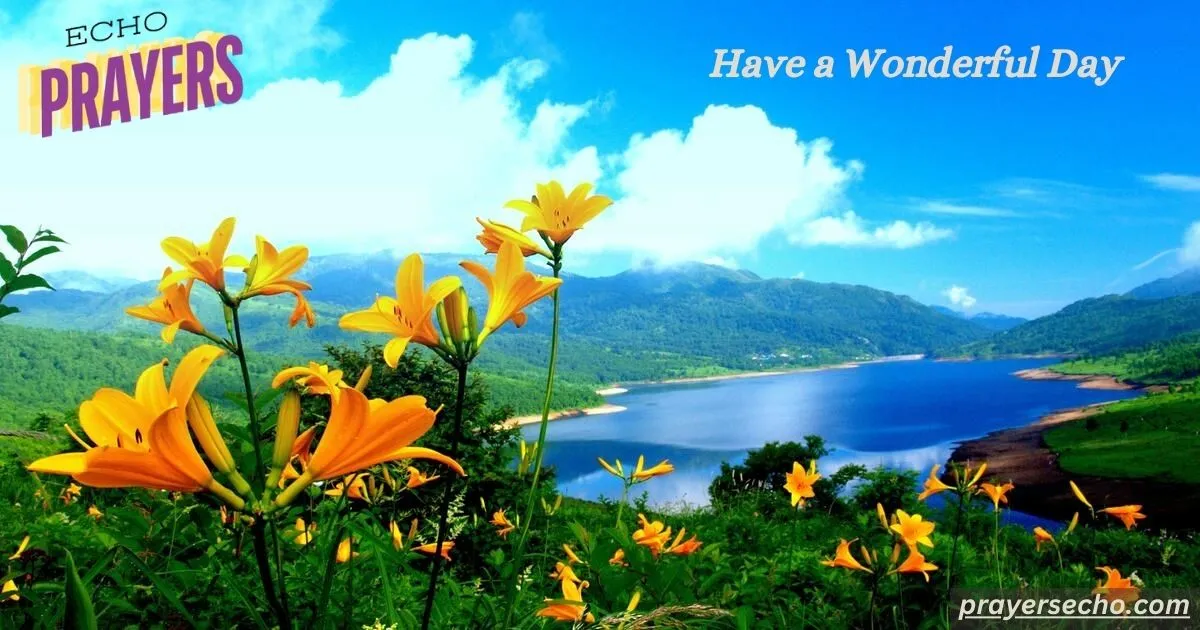 Have a Wonderful Day