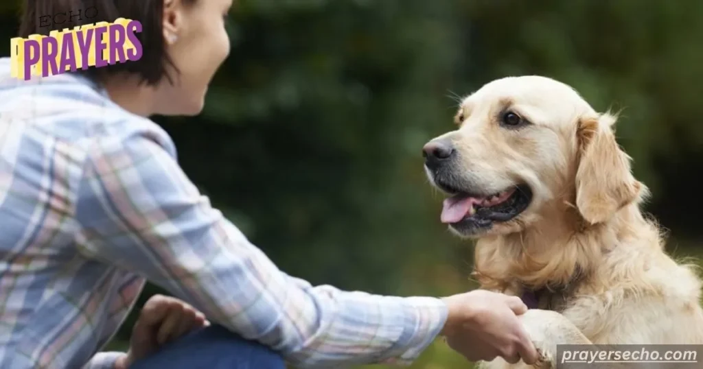 Your Pet Was Special And Loved