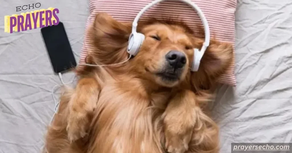 Dogs are like music