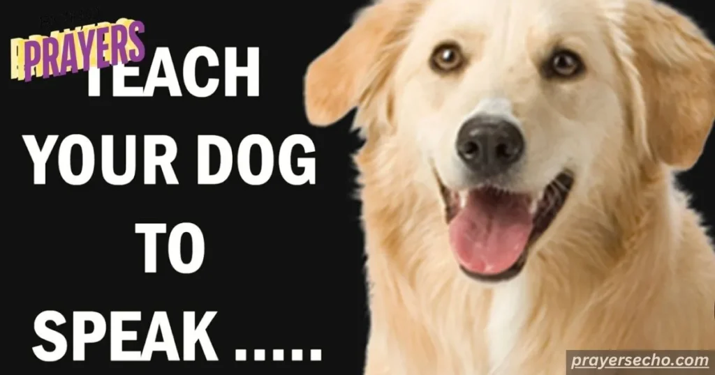 Dogs do speak