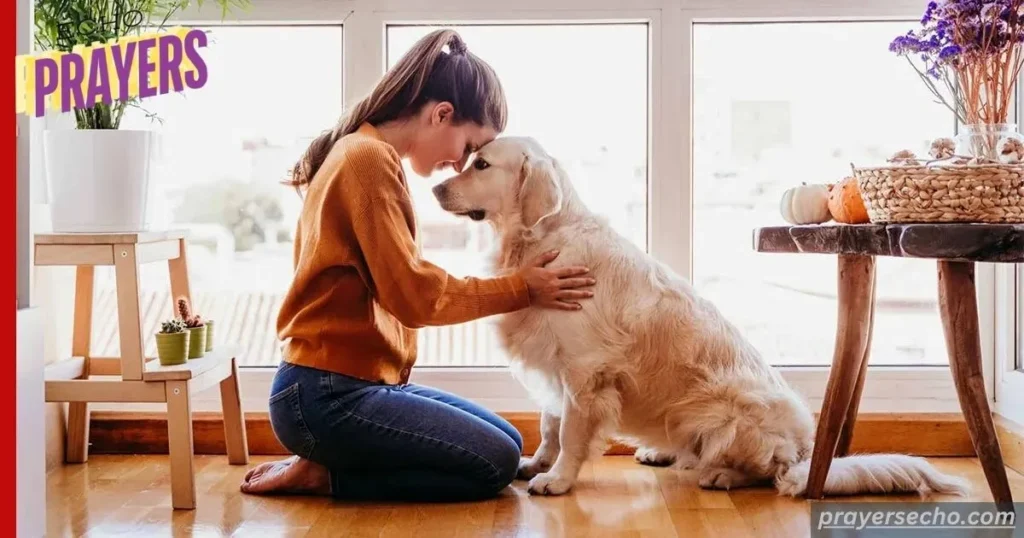 Dogs love their owners