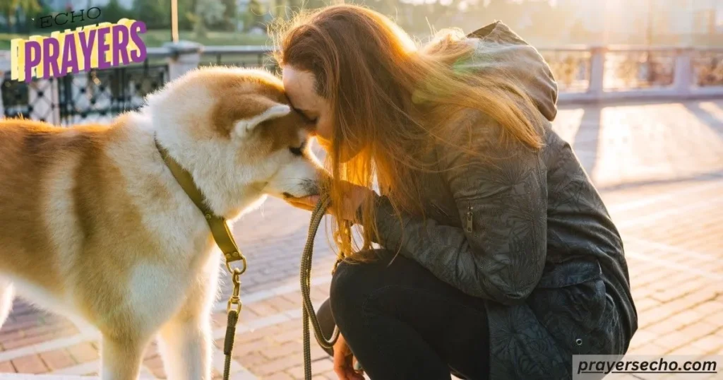 Dogs offer unconditional love