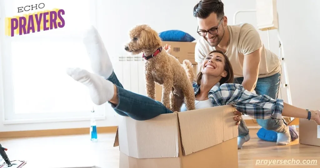 Organize a Pet Photoshoot