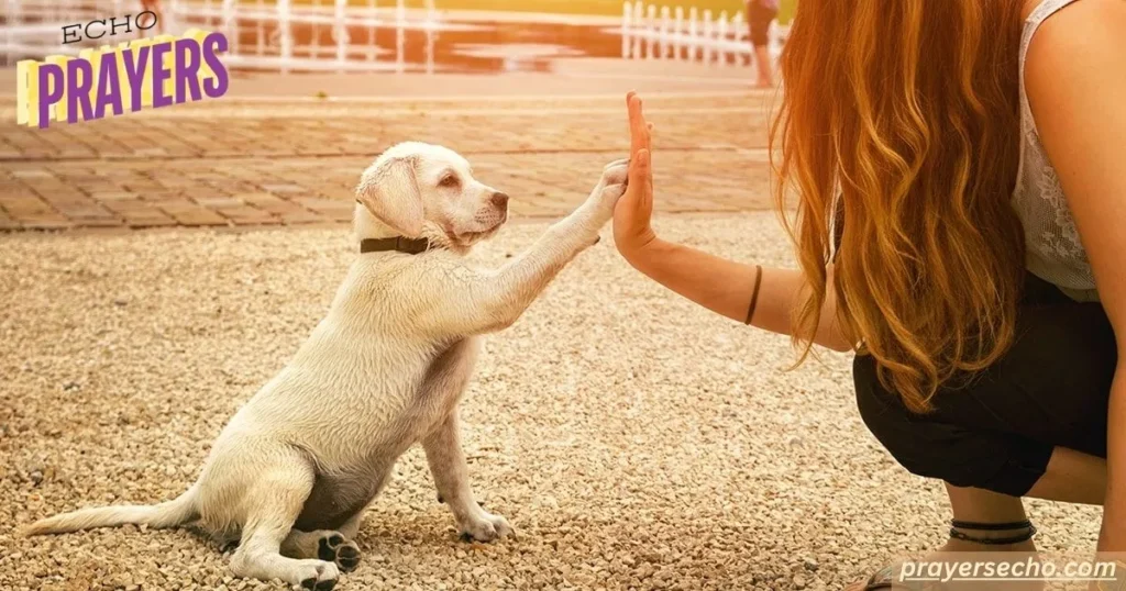 Pets remain loyal friends