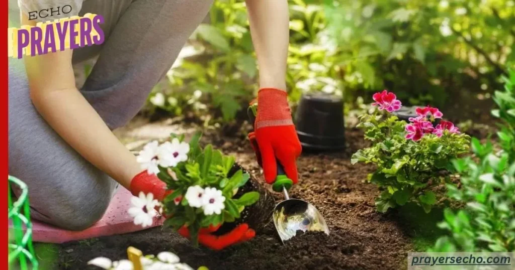 Planting Flowers